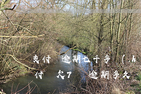 支付寶逾期七千多會(huì)起訴你嗎(支付寶欠7萬逾期多久會(huì)起訴)