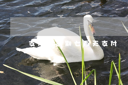 支付寶逾期七百天(支付寶逾期87天六萬多)