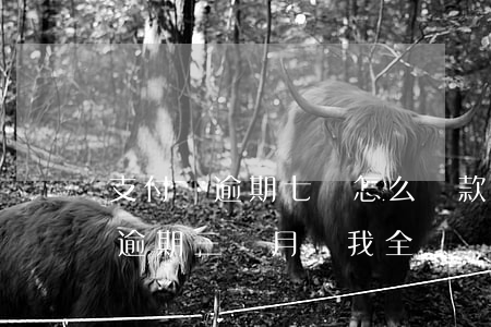 支付寶逾期七萬怎么還款(支付寶欠7000逾期三個月讓我全額還款要不然就立案了)
