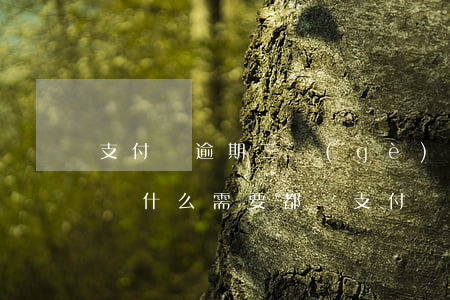 支付寶逾期三個(gè)月了,還了逾期部分,為什么需要都還?（支付寶逾期3個(gè)月還多少）