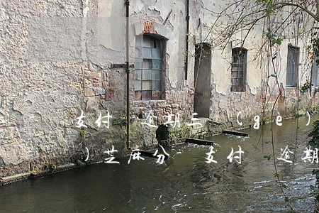 支付寶逾期三個(gè)月怎么恢復(fù)芝麻分-支付寶逾期3個(gè)月怎么辦