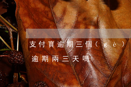 支付寶逾期三個(gè)月才還(支付寶可以逾期兩三天嗎)