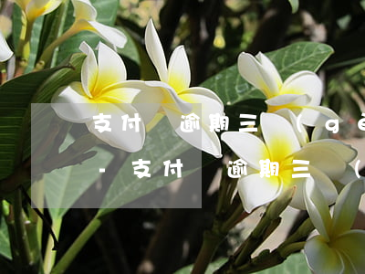 支付寶逾期三個(gè)月還上了可以用么-支付寶逾期三個(gè)月還款后還可以用嗎?