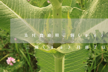 支付寶逾期三個(gè)月還了(支付寶逾期三個(gè)月還了以后可以銀行貸款嗎)