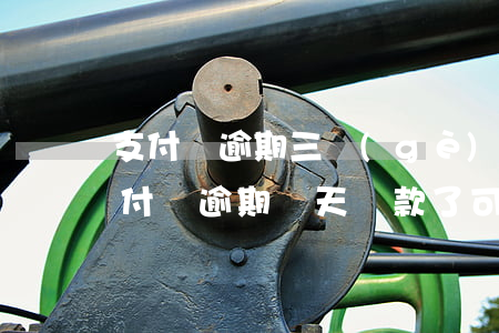 支付寶逾期三個(gè)月還了還能借嗎(支付寶逾期兩天還款了可以再繼續(xù)借嗎)