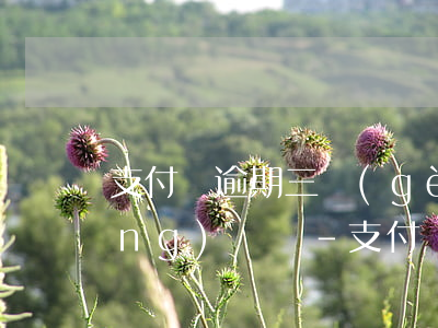 支付寶逾期三個(gè)月還可以網(wǎng)貸嗎-支付寶逾期三個(gè)月還可以網(wǎng)貸嗎知乎