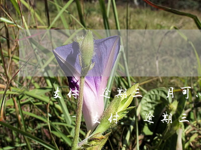 支付寶逾期三個月可以協(xié)商還款嗎-支付寶逾期三個月可以協(xié)商還款嗎
