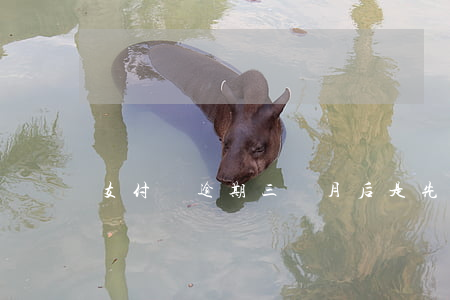 支付寶逾期三個月后是先還本金嗎