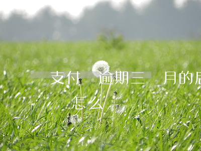 支付寶逾期三個月的后果(支付寶逾期3個月會怎么樣)