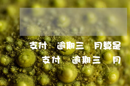 支付寶逾期三個月算是嚴(yán)重失信嗎(支付寶逾期三個月會有什么后果)