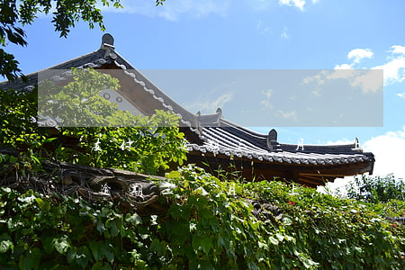 支付寶逾期三個月還上還有額度嗎-支付寶逾期三個月還上還有額度嗎怎么辦