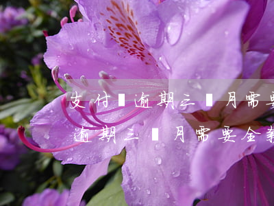 支付寶逾期三個月需要全款還清嘛-支付寶逾期三個月需要全款還清嘛怎么辦