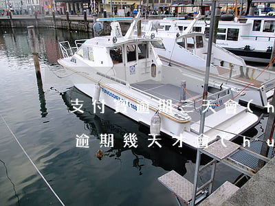 支付寶逾期三天會(huì)上征信(支付寶逾期幾天才會(huì)上征信)