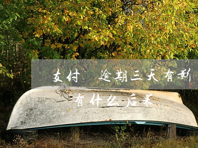 支付寶逾期三天有影響嗎(支付寶逾期三個月會有什么后果)