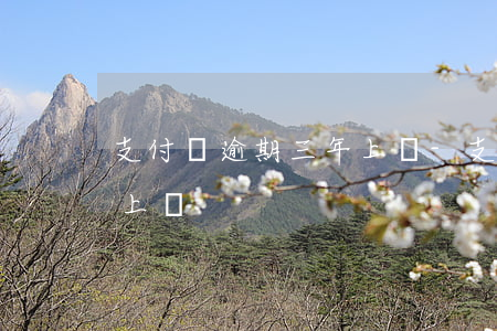 支付寶逾期三年上門-支付寶逾期兩千多要上門