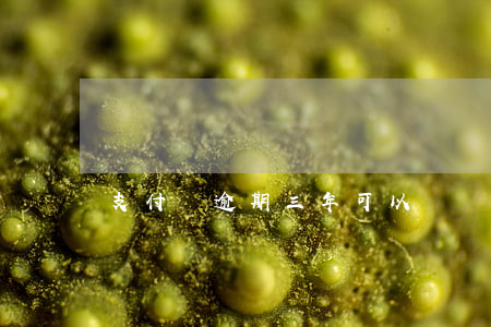 支付寶逾期三年可以買車么