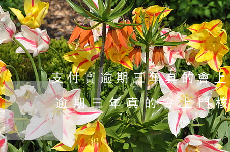 支付寶逾期三年真的會上門核實嗎-支付寶逾期三年真的會上門核實嗎知乎