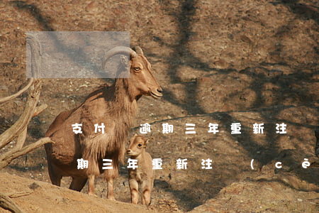 支付寶逾期三年重新注冊(cè)(支付寶逾期三年重新注冊(cè))