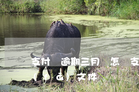 支付寶逾期三月會怎樣（支付寶逾期三個月發(fā)文件）