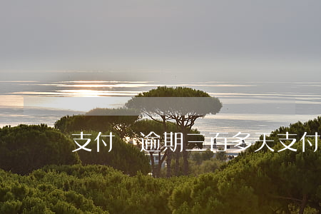 支付寶逾期三百多天（支付寶逾期300多分）