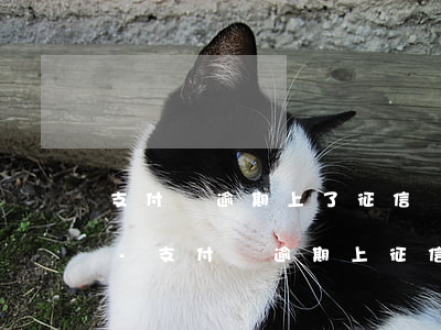 支付寶逾期上了征信還上能恢復(fù)么-支付寶逾期上征信后如何補(bǔ)救