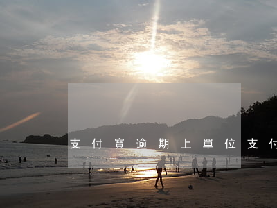 支付寶逾期上單位(支付寶逾期有事嗎)