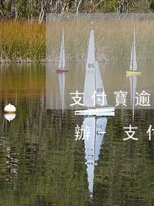 支付寶逾期上報(bào)了征信銀行怎么辦-支付寶逾期上報(bào)了征信銀行怎么辦呢