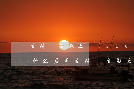 支付寶逾期上報(bào)會(huì)有什么后果(支付寶逾期之后會(huì)怎么樣)