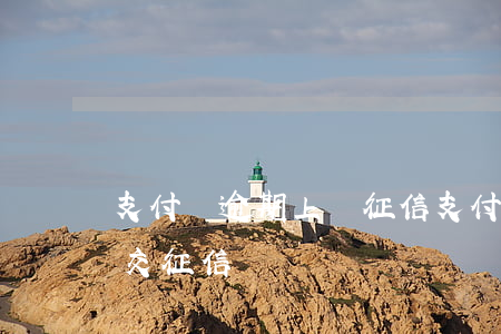 支付寶逾期上報征信(支付寶逾期電話告知上交征信)