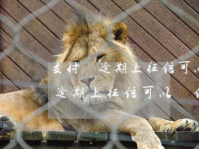 支付寶逾期上征信可以辦信用卡嗎-支付寶逾期上征信可以辦信用卡嗎安全嗎