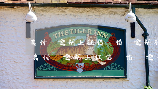 支付寶逾期上征信嗎?借唄逾期有什么后果-支付寶逾期上征信嗎?借唄逾期有什么后果2021年
