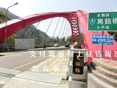支付寶逾期上征信報告嗎 支付寶逾期上征信怎么申訴