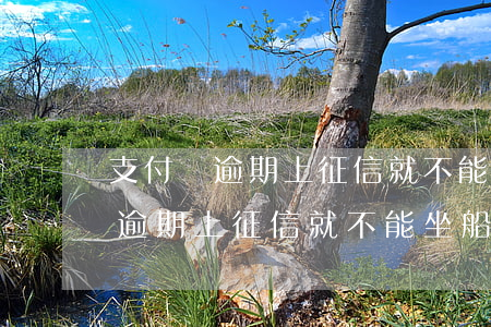 支付寶逾期上征信就不能坐船了嗎-支付寶逾期上征信就不能坐船了嗎為什么