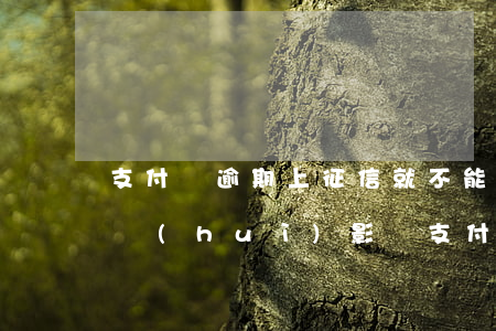 支付寶逾期上征信就不能坐船了嗎 征信逾期會(huì)影響支付寶嗎