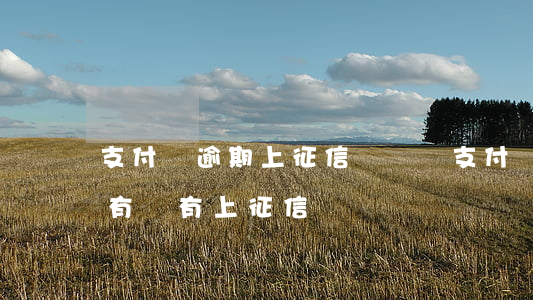 支付寶逾期上征信記錄嗎(支付寶逾期怎么看有沒有上征信)