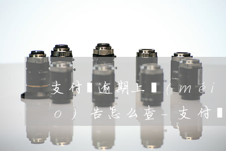 支付寶逾期上沒(méi)上征信報(bào)告怎么查-支付寶逾期上沒(méi)上征信報(bào)告怎么查詢