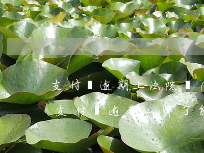 支付寶逾期上法院會(huì)減免利息嗎(支付寶逾期2年了能讓它降一點(diǎn)利息嗎)