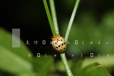 支付寶逾期上門(mén)備案(支付寶逾期上門(mén)會(huì)通知嗎)
