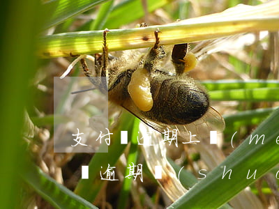 支付寶逾期上門(mén)要銀行流水(支付寶逾期說(shuō)要上門(mén)調(diào)查銀行流水)