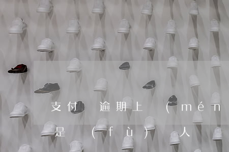 支付寶逾期上門(mén)費(fèi)用是負(fù)債人給嗎-支付寶逾期上門(mén)費(fèi)用是負(fù)債人給嗎安全嗎