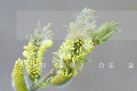 支付寶逾期上門合法嗎 支付寶逾期會不會找上門