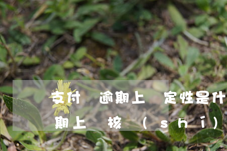 支付寶逾期上門定性是什么意思-支付寶逾期上門核實(shí)合法嗎