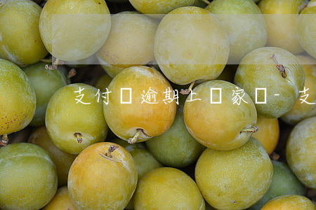 支付寶逾期上門家訪-支付寶逾期上門家訪