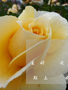 支付寶逾期上門家訪本人不在家-支付寶逾期上門家訪本人不在家可以嗎