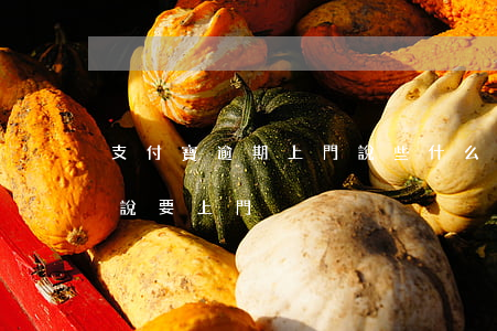 支付寶逾期上門說些什么(支付寶逾期八千多說要上門)