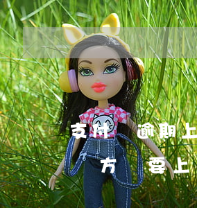 支付寶逾期上門讓簽字-支付寶逾期三年了,對方說要上門
