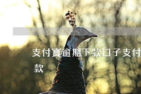 支付寶逾期下款口子 支付寶逾期在哪可以下款