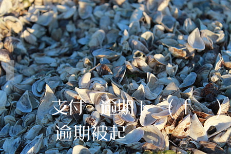 支付寶逾期下發(fā)訴訟涵件-支付寶逾期 被起訴