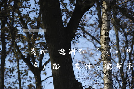 支付寶逾期不協(xié)商投訴哪個(gè)部門(支付寶逾期不協(xié)商投訴哪個(gè)部門)