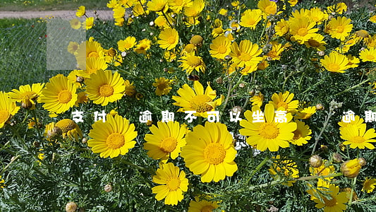 支付寶逾期不可以坐高鐵嗎 逾期會不讓坐高鐵嗎